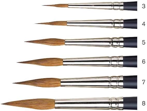Winsor & Newton Professional Watercolour Sable Brush