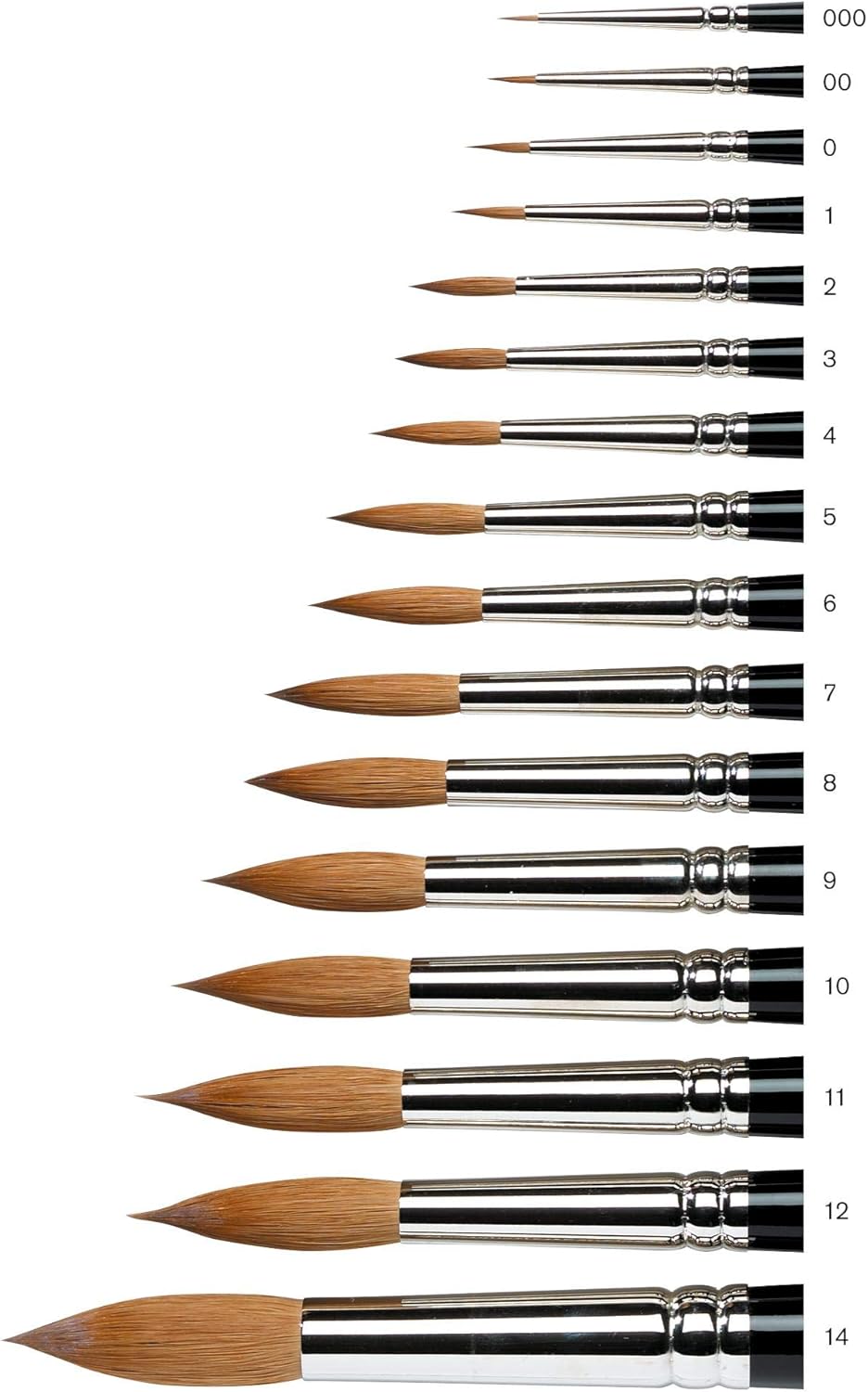 Winsor & Newton Series 7: What You're Actually Paying For (And Whether It's Worth It)